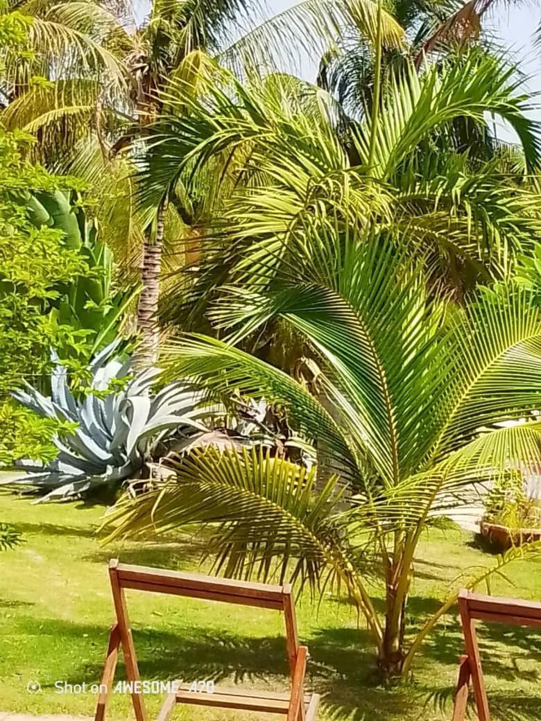 Chambre d'hôte les vacanciers Nianing Extérieur photo