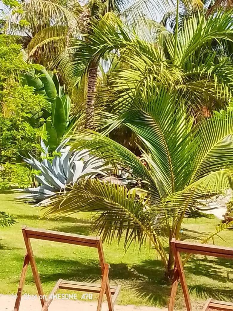 Chambre d'hôte les vacanciers Nianing Extérieur photo